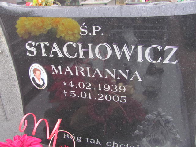 Roman Stachowicz 1943 Sędziszów - Grobonet - Wyszukiwarka osób pochowanych